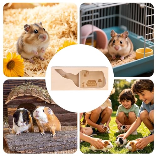 Furet tunnel de jeu et maisonnette à toit ouvrant pour souris hérisson