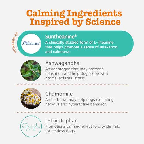 image for Zesty Paws Calming Chews for Dogs Composure & Relaxation for Everyday 