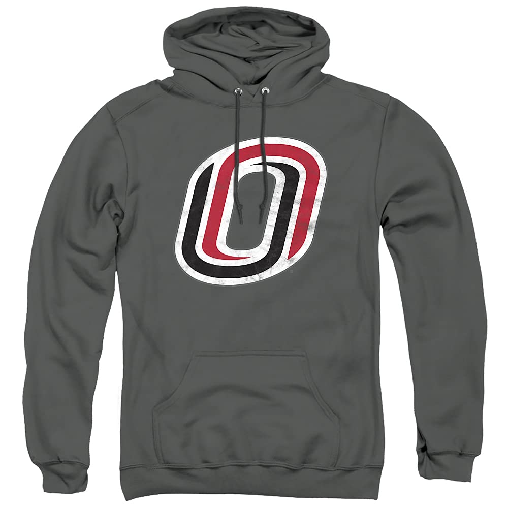LOGOVISION Official Collegiate Distressed Primary Logo Adult Pullover Hoodie Collection — view 219