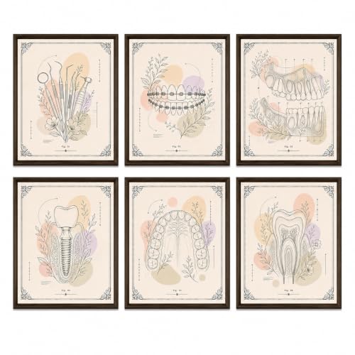 Watercolor Dental Anatomy Poster Set of 6