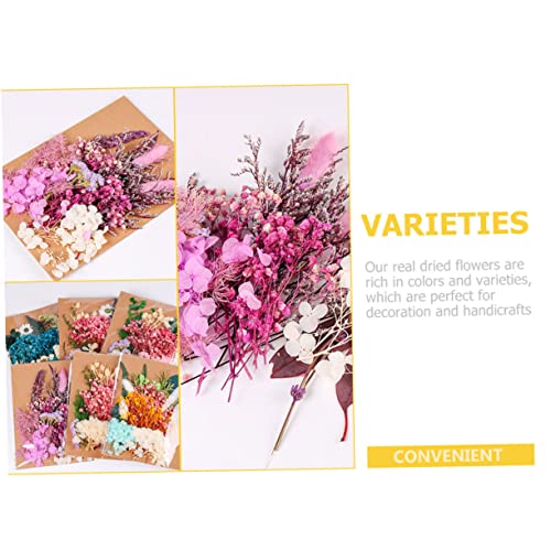 Flores secas para decoración y DIY 1 bolsa miniatura 5