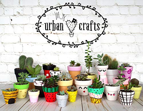 My Urban Crafts 4.7 Inch Plant Pots Indoor Set Of 6 Round Ceramic Planters With Saucer Modern Decorative Garden Flower Pots With Drainage White Pots For Succulents, Snake Plants (Matte White Bisque) #TOP6