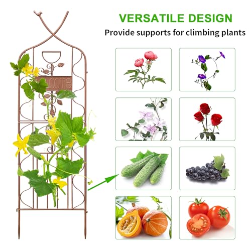 Image of LZRS 2 Pack 59.5 * 18in Rustic Iron Arch Decoration Garden Trellis with Metal Coating - Perfect for Supporting Climbing Plants Outdoor, Roses, Vines, Flowers, and Vegetables, Brown