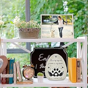   Dog-Memorial-Gifts-for-Loss-of-Dog-Waterproof-Resin-Pet-Memorial-Stones-for-Dogs-Egg-Shaped-Loss-of-Dog-Sympathy-Gift-Once-by-My-Side-Forever-in-My-Heart-Cat-Memorial-Stones