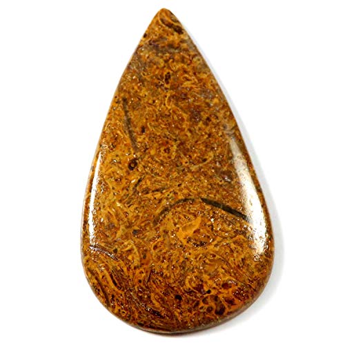 Pierre précieuse Coquina Mariam Jasper de qualité supérieure Jk93-B07VYGGT 31,45 ct