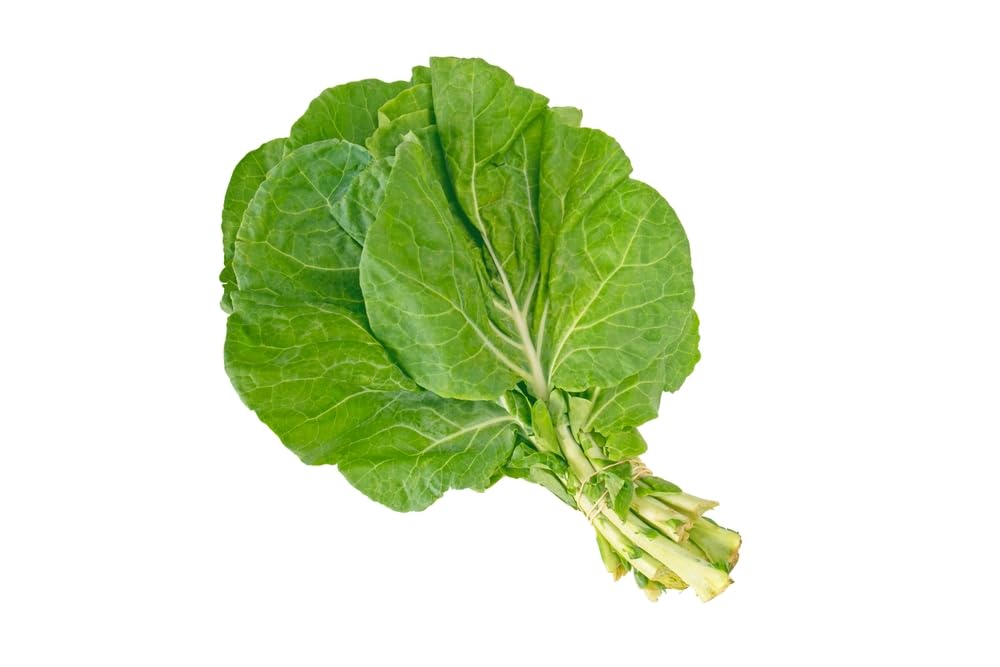 Amazon.com : Morris Heading Collard Greens Seeds (Brassica