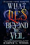 What Lies Beyond the Veil (Of Flesh & Bone Series, Band 1)