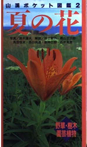 51giQDUEp6L.jpg 51giQDUEp6L.jpg