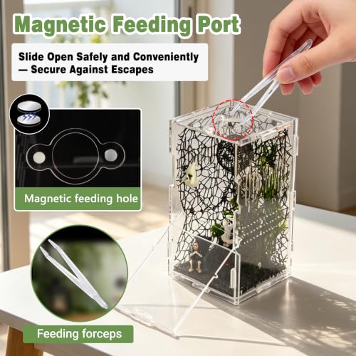Image of 20PCS Acrylic Jumping Spider Enclosure Kit | tool-free snap assembly, fits mantis tarantula snail isopod, desktop display