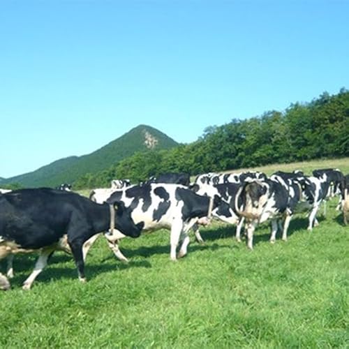 北海道紋別市 牧場体験 ミルクジャムセット付