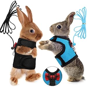 SATINIOR 2 Pieces Guinea Pig Clothes Baby Ferret Rats Hamster Soft Mesh Harness Leash Vest Set with Bell for Guinea Pigs, Hamster, Ferret, Rabbit, Chinchilla and Similar Small Animals