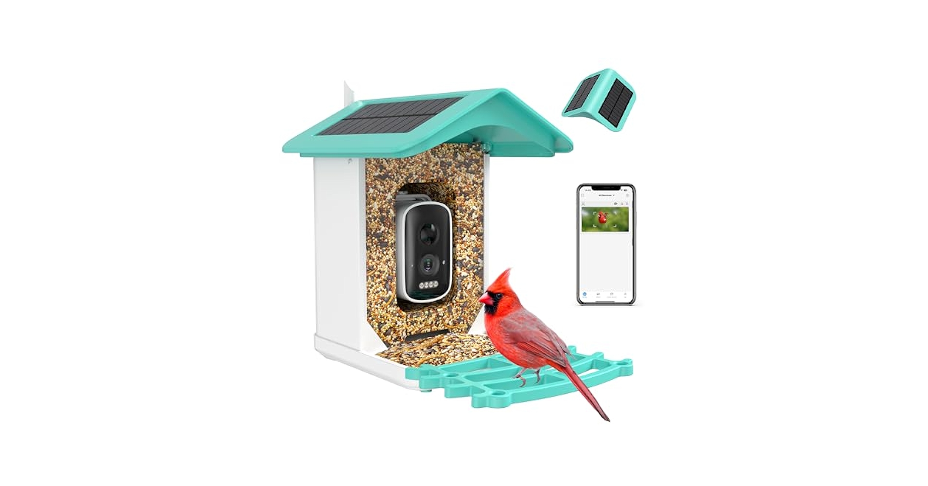 Amazon.com: Smart Bird Feeder Camera (Dual Panel), Solar