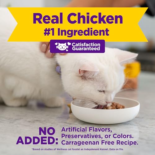 Image of Wellness Appetizing Entrees Mousse Adult Wet Cat Food, Natural, Protein Rich, Grain Free, Chicken and Turkey Recipe, 1.4 oz, Pack of 8 Pouches
