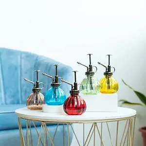 CORALTREE 1 Pcs Charming Glass Plant Mister & Sprayer(8.5x8.5x16 cm)