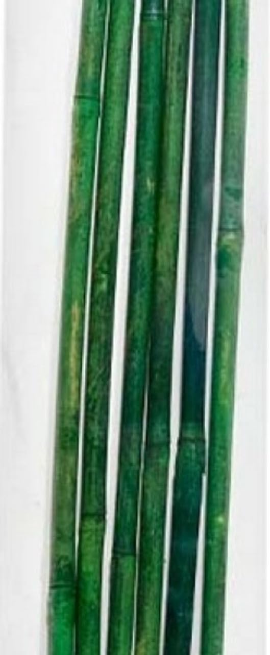 Bamboo Cane Plant Support 3 feet (13 Sticks) (B0CCYHV81V) Amazon Price History, Amazon Price Tracker