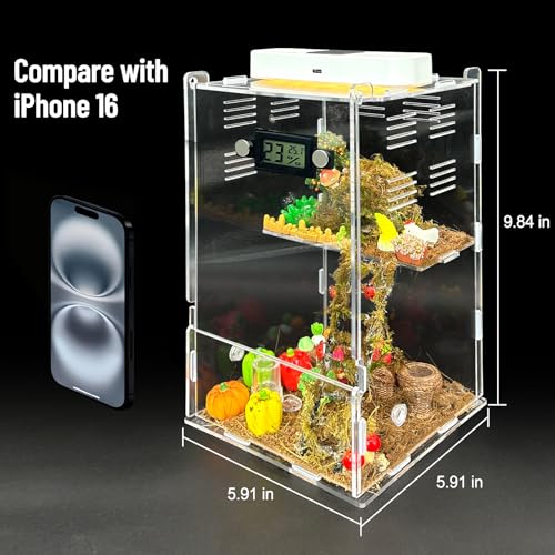 Image of Jumping Spider Enclosure,DIY Insects Habitat,Small Reptile Terrarium Glass House Accessories Set,with Temperature and Humidity Detector Water Feeder Platform Hide,5.5 inchx5.5 inchx9.5 inch (Farm)