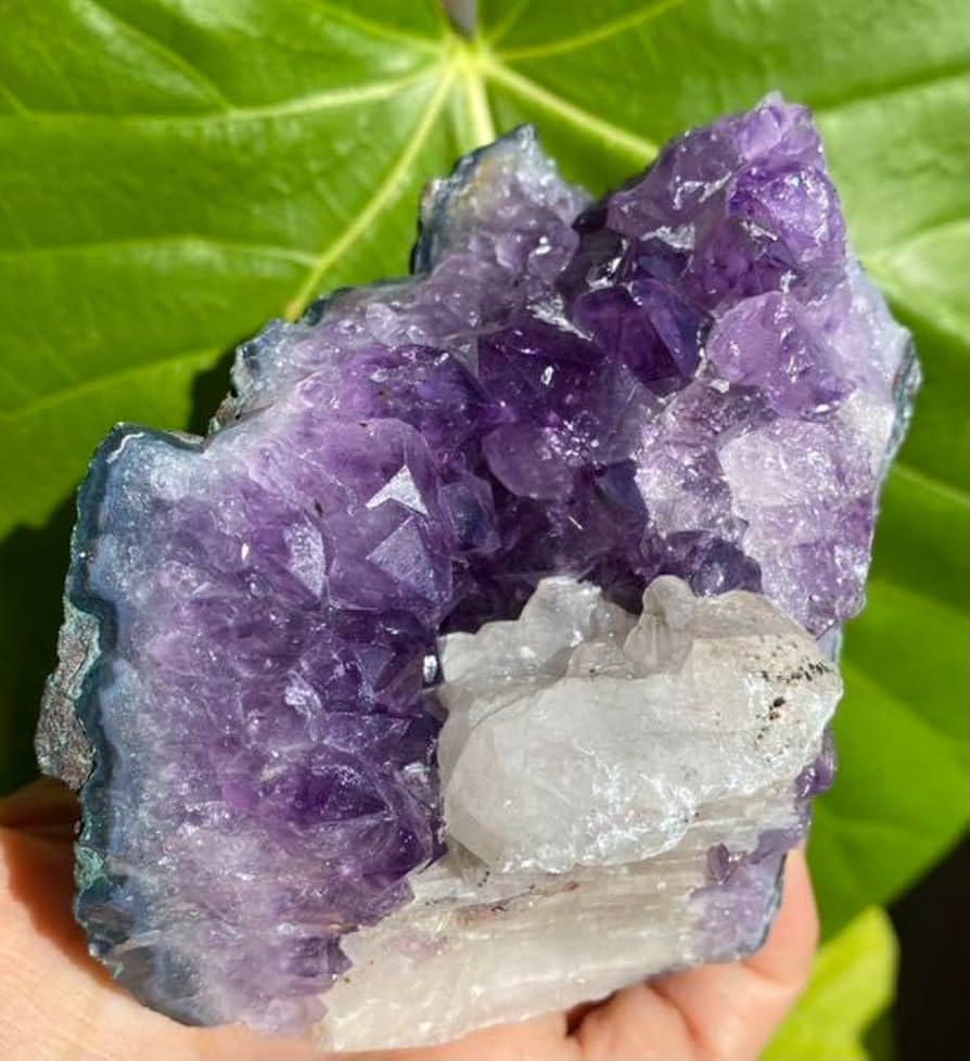 Amazon.co.jp: 紫水晶 アメジスト カルサイト共生 クラスター No.188 T Amazon.co.jp: 紫水晶 アメジスト カルサイト共生 クラスター No.188 T