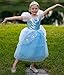 Aolliya Princess Dress for Girls Puff Sleeves Princess Costume Blue Fancy Dress Up for Halloween Cosplay Party Carnival