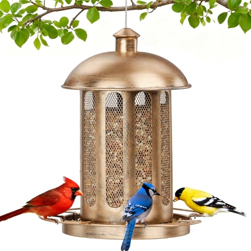 IWNTWY Bird Feeder, Large Capacity Bird Feeders for Outdoor Hanging, Heavy Duty Metal Wild Birdfeeder for Outside Garden Yard Decor, Retro Lantern Shape