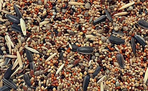 RS-Birds-Grains-Pet-Loves-Mix-Seed-Bird-Food-Seed-Food-for-Birds-of-All-Life-Stages-1-KG