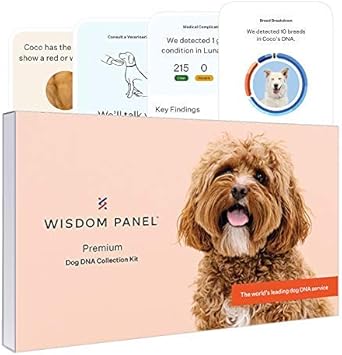 wisdom panel