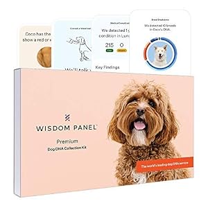 Wisdom Panel Premium New and Improved Dog DNA Test for Comprehensive Health Traits and Ancestry