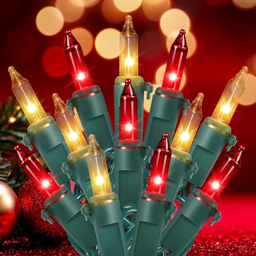 Hopolon 2 Pack Total 26 FT 100 Count Christmas Lights Indoor, Green Wire