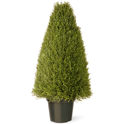 National Tree Company Artificial Shrub - Includes Pot Base - Upright Juniper - 36 Inch