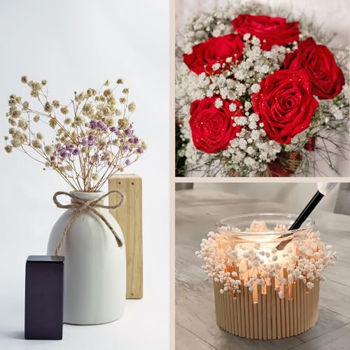 Ramo de Gypsophila Seco Blanco Puro 6-7.8 Pulgadas miniatura 5