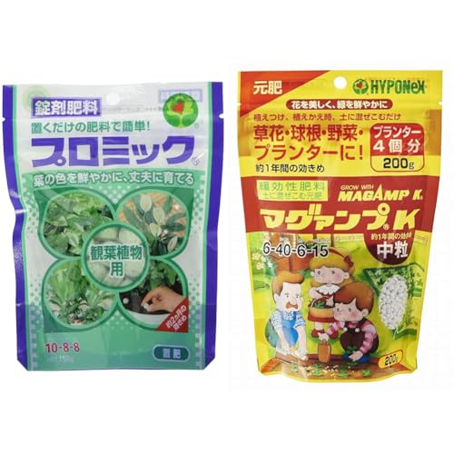 yZbgznC|lbNXWp 엿 v~bN ϗtAp 150g + }O@vK  200g