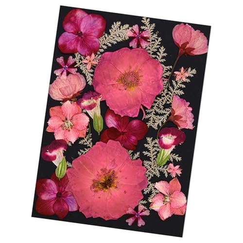 Flores Secas Naturales Prensadas para Resina Epoxi Set miniatura 4