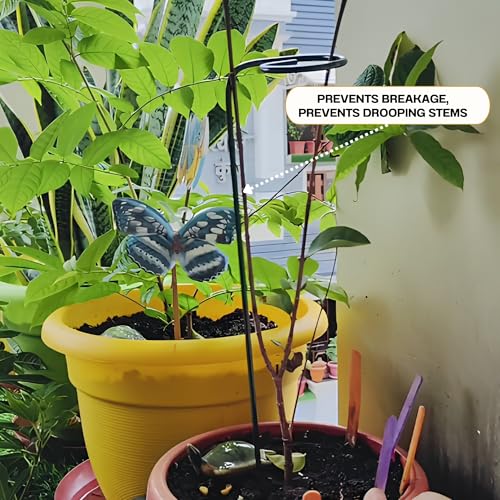 Image of Bombay Greens 18 Inches Plant Supporting Metal Garden Stake Trellis for Outdoor Plants - Set of 10