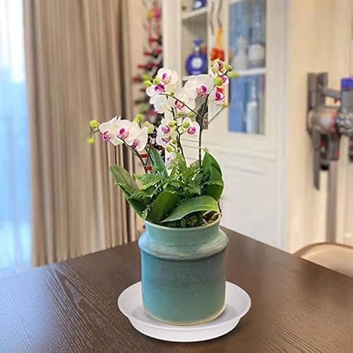 image for Bleuhome 6 Pack of 10 inch Plant Saucer, Heavy Duty Plastic Plant Sauc