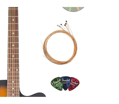 Fender Telecaster® LOUD ARKZ テレキャスター フェンダー ギブソン
