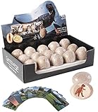 🦘Service: Um Ihnen den bestmöglichen Service zu bieten, geben Sie uns bei Fragen bitte Feedback. Wir bieten Kundendienst an, bis Sie zufrieden sind.