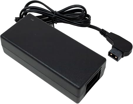 Wasabi Power D-Type Charger with D-Tap Cable for V-Mount, Gold Mount Battery and Professional Video Camcorders