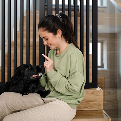 Relaxdays Hundeabsperrgitter, freistehendes Schutzgitter, HxB: 91,5 x 103 cm, MDF, zusammenklappbar, Türgitter, weiß