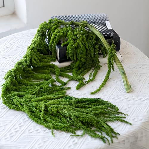 Flores Artificiales Secas Colgantes Amaranthus Pack 5 Piezas miniatura 2