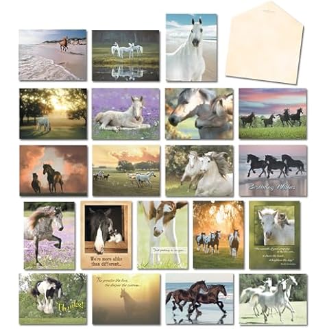 Leanin' Tree, Horse Country, Greeting Cards Assortment Box All Occasion with Inside Message and Blank Cards (20 Assorted Cards, 22 Colorful Envelopes) Cover