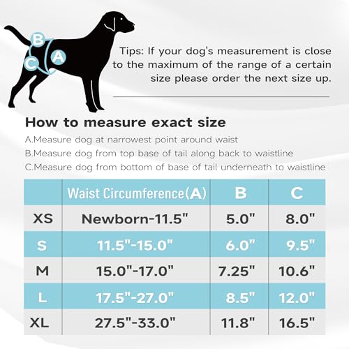 Image of Paw Legend Washable Reusable Female Dog Period Diapers for Heat Doggie Puppy Diapers for Female Dogs (3 Pack, X-Small)