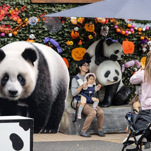 Image of Geelin 5ft Panda Cardboard Standup Cutout Life Size Jungle Safari Animal Theme Party Backdrop Photo Prop Stand up for Zoo Safari Jungle Themed Birthday Party Decoration Supplies