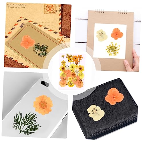 Kit de flores prensadas secas para manualidades color naranja miniatura 4