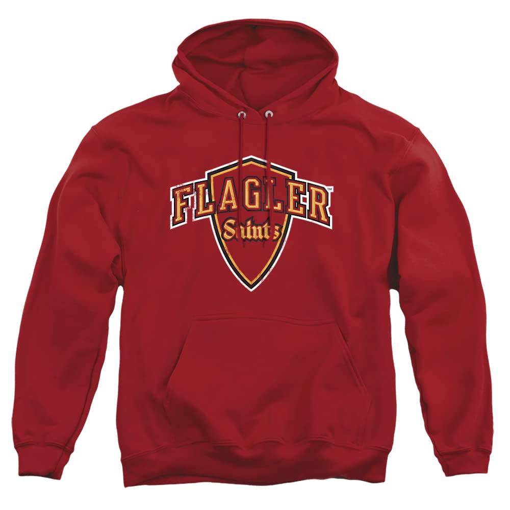 LOGOVISION Official Collegiate Distressed Primary Logo Adult Pullover Hoodie Collection — view 140
