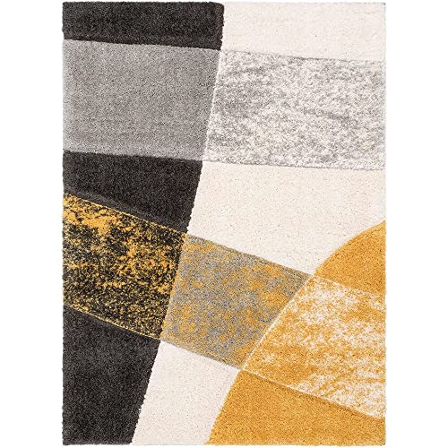 Image of F & B RUGS ; SUPERIOR QUALITY PRODUCTS Firoz and Brothers Handwovenarpe Super Soft Indoor Modern Shag Microfiber 2 Inch Thickness Fluffy 5x5 feet Multi