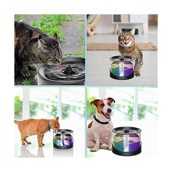 Kastty-Cat-Water-Fountain-Super-Quiet-Water-Fountain-for-Cats-Inside-Pet-Water-Fountain-for-Kitty-Cat-Waterer-Dog-Bowl-Dispenser-22L74ozwith-Super-Long-Life-Span-Pump-BlackColorful-LED-Light Dog Bowl Dispenser with Long Life Span Pump