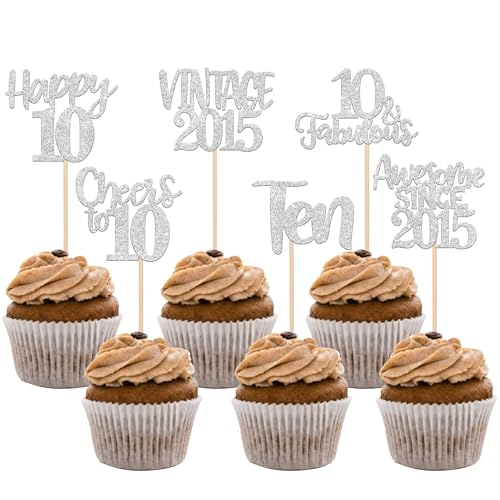 Rsstarxi 24 Pack Vintage 2015 Cupcake Toppers Awesome Since 2015 Fourteen 10 Fabulous Cupcake Picks Cheers to 10 Years Happy 10th Birthday Wedding Anniversary Party Cake Decorations Silver