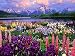 Adulte 1000 pièces puzzle paysage naturel famille jeu interactif jouet éducatif bloc de construction puzzle A.2 70 pièces