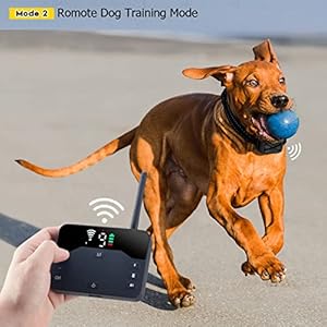 Electric wireless dog fence system electric fence for dogs training collar wremote 2 in 1 dog containment fence adjustable vibrationshock rechargeable pet fence for small medium large dogs   cucciolini doodles