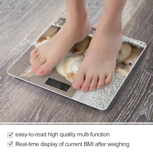 Báscula digital para baño en vidrio templado compacta miniatura 5