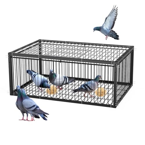 MUALROUS 40 cm gabbie di piccioni (64 x 44 x 26 cm)